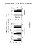 Composition and methods of RNAi therapeutics for treatment of cancer and other neovascularization diseases diagram and image