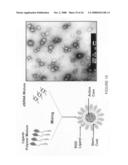 Composition and methods of RNAi therapeutics for treatment of cancer and other neovascularization diseases diagram and image