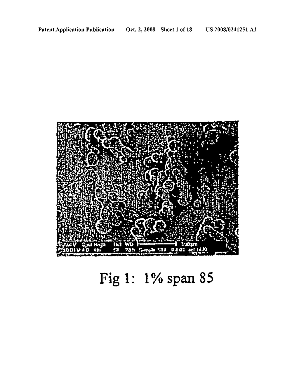 Method of Producing Microparticles - diagram, schematic, and image 02