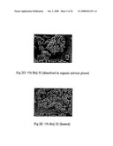 Method of Producing Microparticles diagram and image