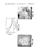 Nanoshells and Discrete Polymer-Coated Nanoshells, Methods For Making and Using Same diagram and image