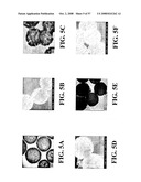 Nanoshells and Discrete Polymer-Coated Nanoshells, Methods For Making and Using Same diagram and image