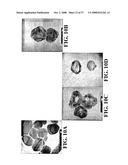 Nanoshells and Discrete Polymer-Coated Nanoshells, Methods For Making and Using Same diagram and image