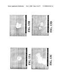 Nanoshells and Discrete Polymer-Coated Nanoshells, Methods For Making and Using Same diagram and image