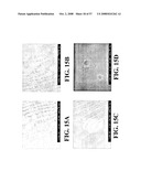 Nanoshells and Discrete Polymer-Coated Nanoshells, Methods For Making and Using Same diagram and image