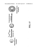 Nanoshells and Discrete Polymer-Coated Nanoshells, Methods For Making and Using Same diagram and image