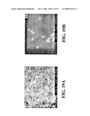 Nanoshells and Discrete Polymer-Coated Nanoshells, Methods For Making and Using Same diagram and image