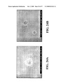 Nanoshells and Discrete Polymer-Coated Nanoshells, Methods For Making and Using Same diagram and image