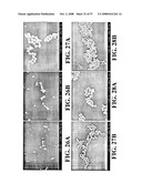 Nanoshells and Discrete Polymer-Coated Nanoshells, Methods For Making and Using Same diagram and image