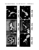 Nanoshells and Discrete Polymer-Coated Nanoshells, Methods For Making and Using Same diagram and image