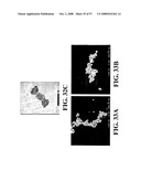 Nanoshells and Discrete Polymer-Coated Nanoshells, Methods For Making and Using Same diagram and image