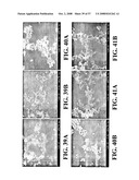 Nanoshells and Discrete Polymer-Coated Nanoshells, Methods For Making and Using Same diagram and image