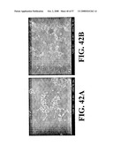 Nanoshells and Discrete Polymer-Coated Nanoshells, Methods For Making and Using Same diagram and image