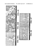 Nanoshells and Discrete Polymer-Coated Nanoshells, Methods For Making and Using Same diagram and image