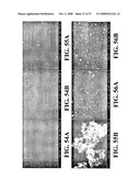 Nanoshells and Discrete Polymer-Coated Nanoshells, Methods For Making and Using Same diagram and image