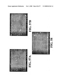 Nanoshells and Discrete Polymer-Coated Nanoshells, Methods For Making and Using Same diagram and image