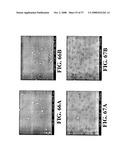 Nanoshells and Discrete Polymer-Coated Nanoshells, Methods For Making and Using Same diagram and image