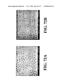 Nanoshells and Discrete Polymer-Coated Nanoshells, Methods For Making and Using Same diagram and image