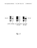 COMPOSITIONS AND METHODS FOR WT1 SPECIFIC IMMUNOTHERAPY diagram and image