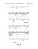 COMPOSITIONS AND METHODS FOR WT1 SPECIFIC IMMUNOTHERAPY diagram and image