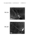 RARE EARTH MAGNET AND MANUFACTURING METHOD THEREOF diagram and image