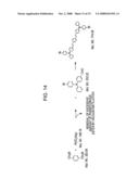 ORGANIC ELECTROLUMINESCENT DEVICE diagram and image