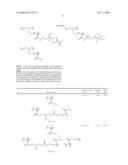 LITHOGRAPHIC PRINTING PLATE PRECURSOR AND METHOD FOR PREPARING LITHOGRAPHIC PRINTING PLATE diagram and image