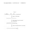 Methods for detecting small RNA species diagram and image