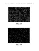 RAPID MICROBIAL DETECTION AND ANTIMICROBIAL SUSCEPTIBIILITY TESTING diagram and image