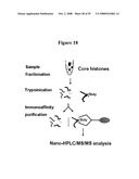 PROPIONYL AND BUTYRYL LYSINE MODIFICATIONS IN PROTEINS diagram and image