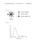 VISIBLE TO NEAR-INFRARED LIGHT PROBE COMPRISING COMPLEX OF CYPRIDINA LUCIFERASE AND QUANTUM DOT diagram and image