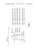 Methods and materials relating to novel stem cell growth factor-like polypeptides and polynucleotides diagram and image