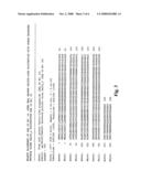 Methods and materials relating to novel stem cell growth factor-like polypeptides and polynucleotides diagram and image