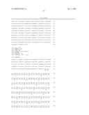 Methods and materials relating to novel stem cell growth factor-like polypeptides and polynucleotides diagram and image