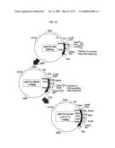 Fused Protein Composition diagram and image