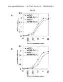 Fused Protein Composition diagram and image