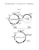 Fused Protein Composition diagram and image