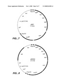 Application of Glucose Transport Mutants For Production Of Aromatic Pathway Compounds diagram and image