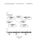 Poly (3-Hydroxyalkanoate) Block Copolymer Having Shape Memory Effect diagram and image