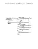 METHOD AND MEANS FOR PRODUCING HIGH TITER, SAFE, RECOMBINANT LENTIVIRUS VECTORS diagram and image