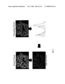 Multianalyte Molecular Analysis Using Application-Specific Random Particle Arrays diagram and image