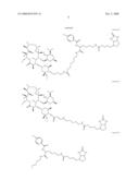 Macrolide Compounds Containing Biotin and Photo-Affinity Group for Macrolide Target Identification diagram and image