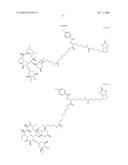 Macrolide Compounds Containing Biotin and Photo-Affinity Group for Macrolide Target Identification diagram and image