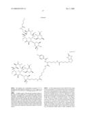 Macrolide Compounds Containing Biotin and Photo-Affinity Group for Macrolide Target Identification diagram and image