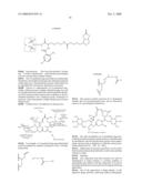 Macrolide Compounds Containing Biotin and Photo-Affinity Group for Macrolide Target Identification diagram and image