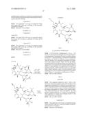 Macrolide Compounds Containing Biotin and Photo-Affinity Group for Macrolide Target Identification diagram and image