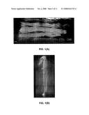 Flexible Ceramic Fibers and a Process For Making Same diagram and image