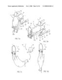 Method and Device for Processing a Slaughter Animal diagram and image