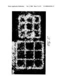 METHODS OF MACROMOLECULAR ANALYSIS USING NANOCHANNEL ARRAYS diagram and image