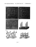 FABRICATED BIOFILM STORAGE DEVICE diagram and image